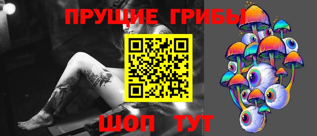 Борисоглебск  Галлюциногенные грибы прущие грибы  Вход с VPN 