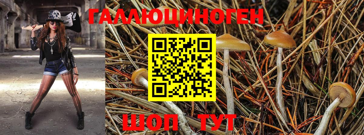 Псилоцибиновые грибы Cubensis Борисоглебск